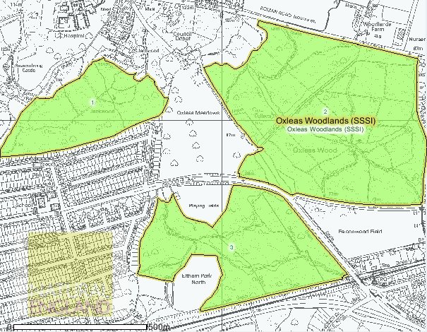 oxleas_woodland_sssi oxleas_woodland_sssi