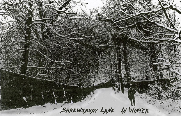 shrewsbury lane in winter Shrewsbury Lane in Winter