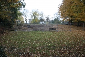 Lilly Pond, Eaglesfield Park November 2011