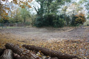 Lilly Pond, Eaglesfield Park November 2011