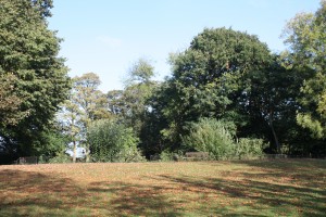 Lilly Pond, Eaglesfield Park October 2011