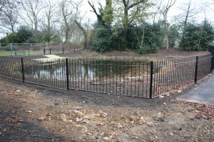 The Lilly Pond, Eaglesfield Park December 2011