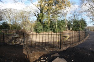 The Lilly Pond, Eaglesfield Park end November 2011