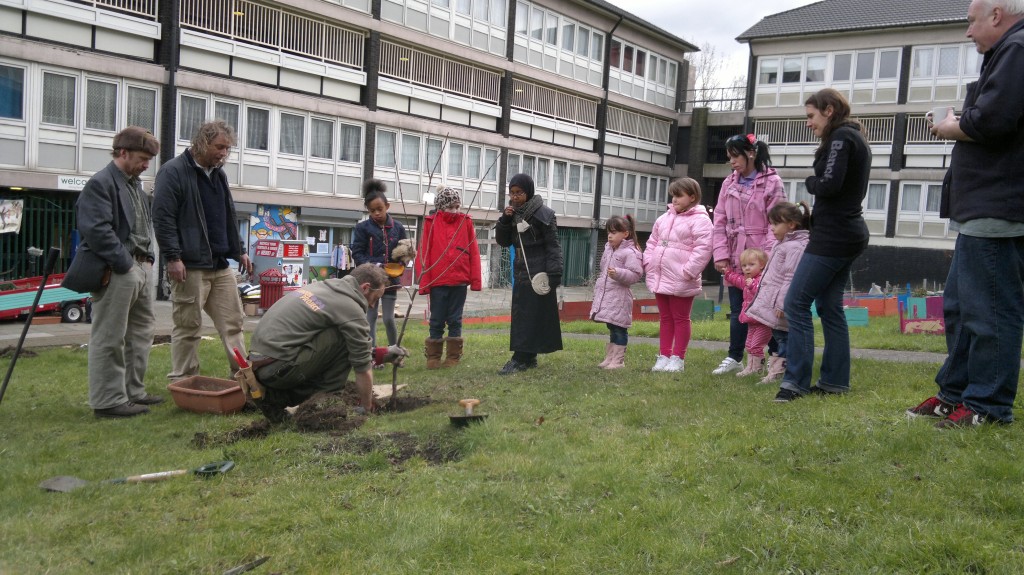 Lewis demonstrating how to plant a tree