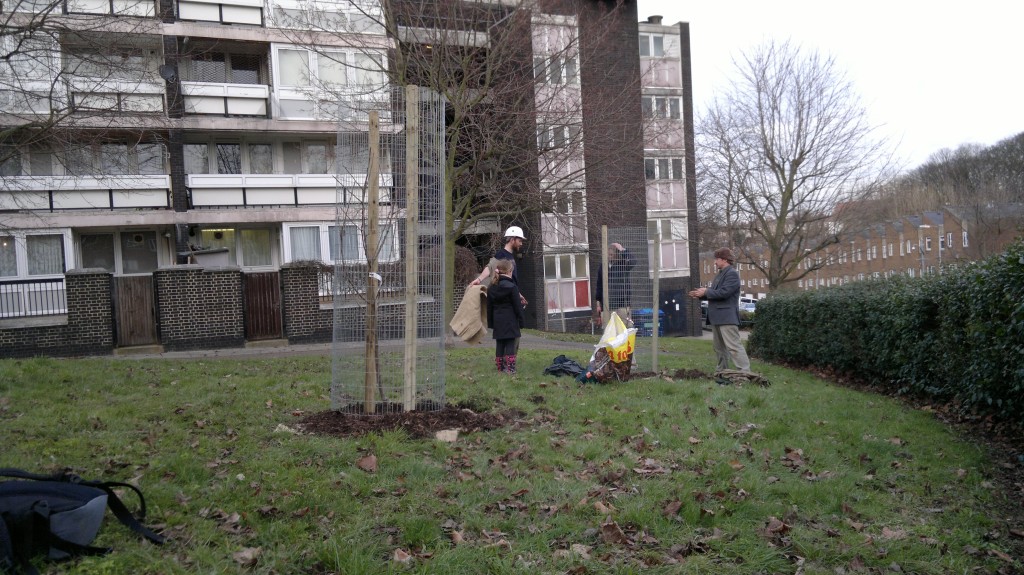 The last tree planted