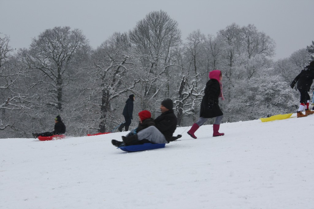 Sledging down Oxleas Meadows