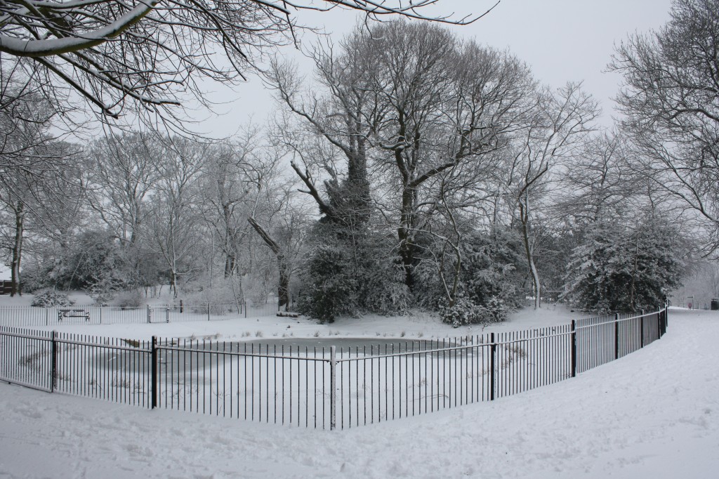 Eaglesfield Park Pond in the Snow