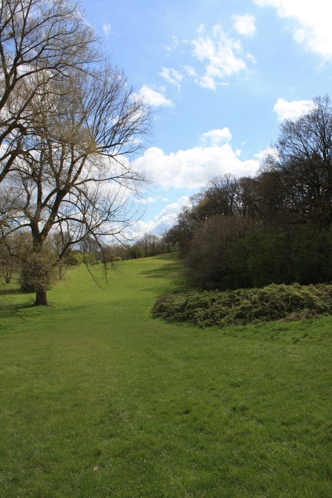 Shrewsbury Park - the edge of the woods near Rowton Road
