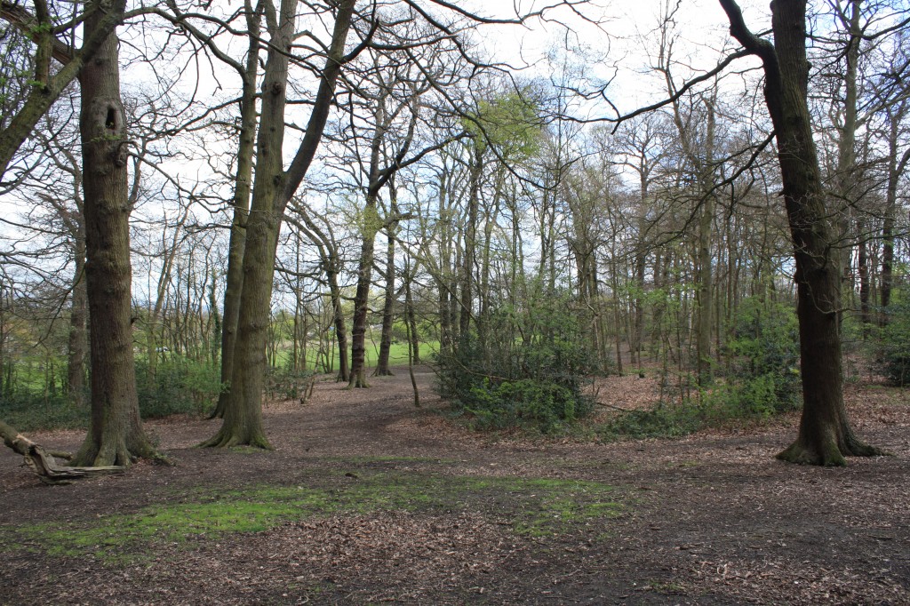 Shrewsbury Park Woods