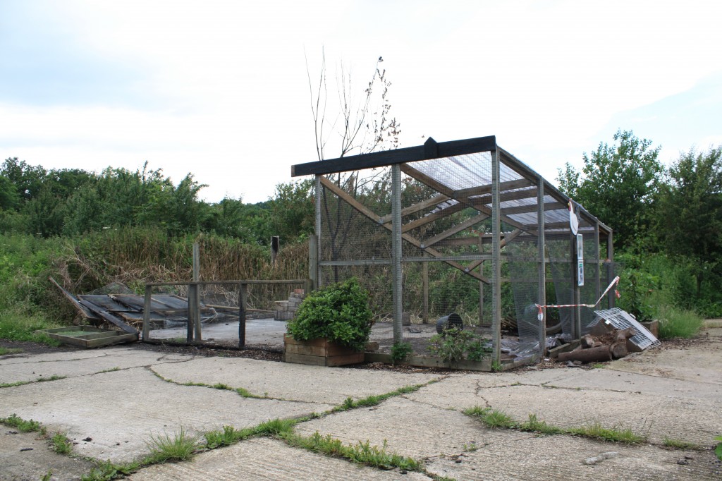 The burn-out remains of the chicken coop