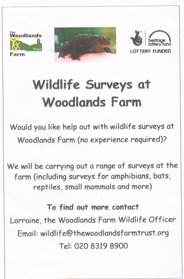 Woodlands Farm Wildlife Surveys Leaflet