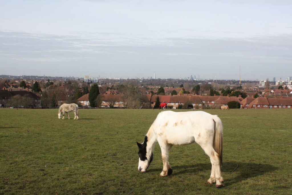 View towards Central London from Green Chain Walk in Eltham