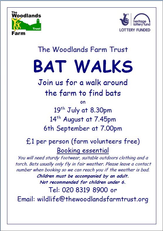 Bat Walk Poster