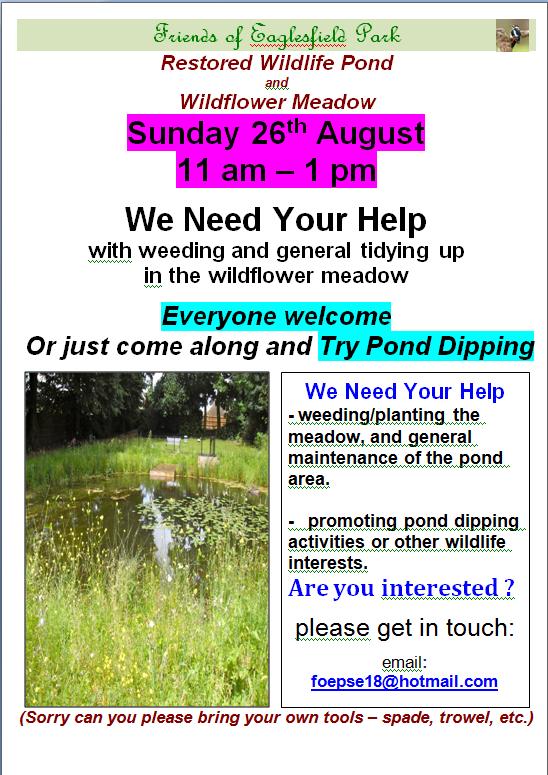 Eaglesfield Pond Tidy Poster