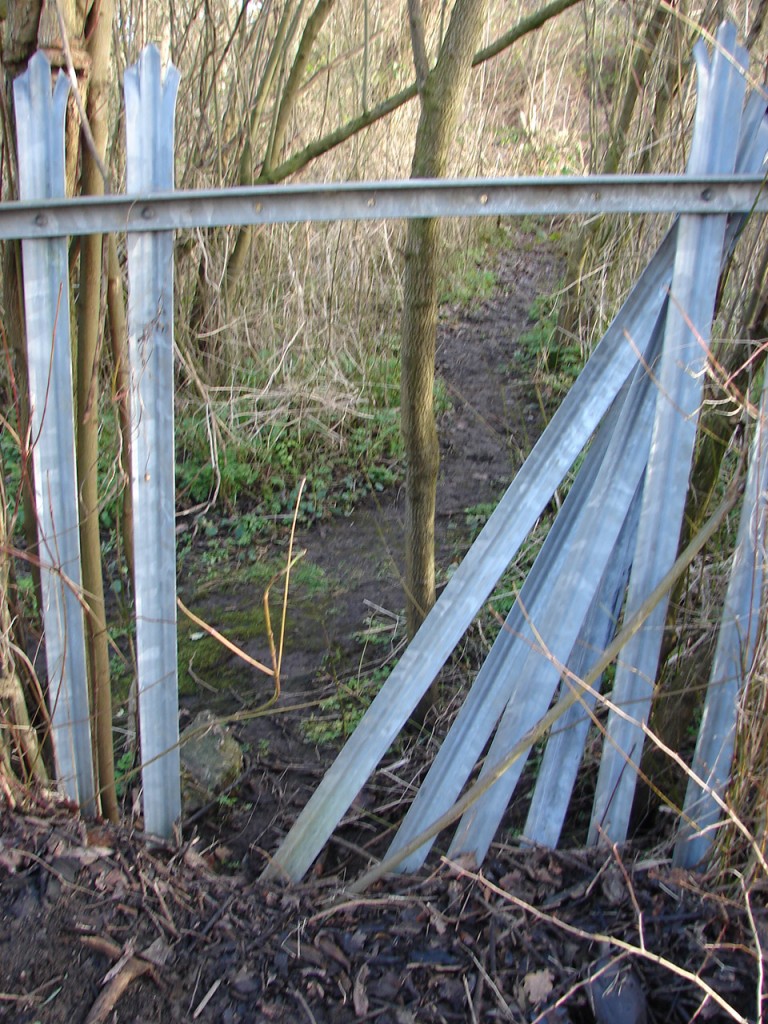 Fence between bridge and Swingate Wood 11 am