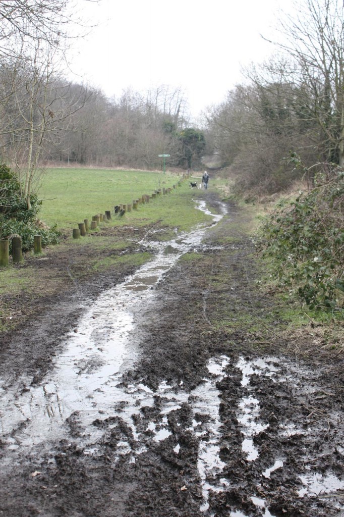 Dothill - to be resurfaced and have a new drainage system