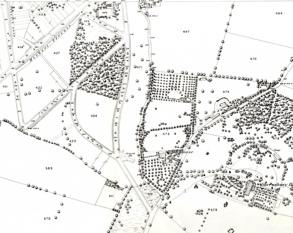 Snippet from 1866  OS Map