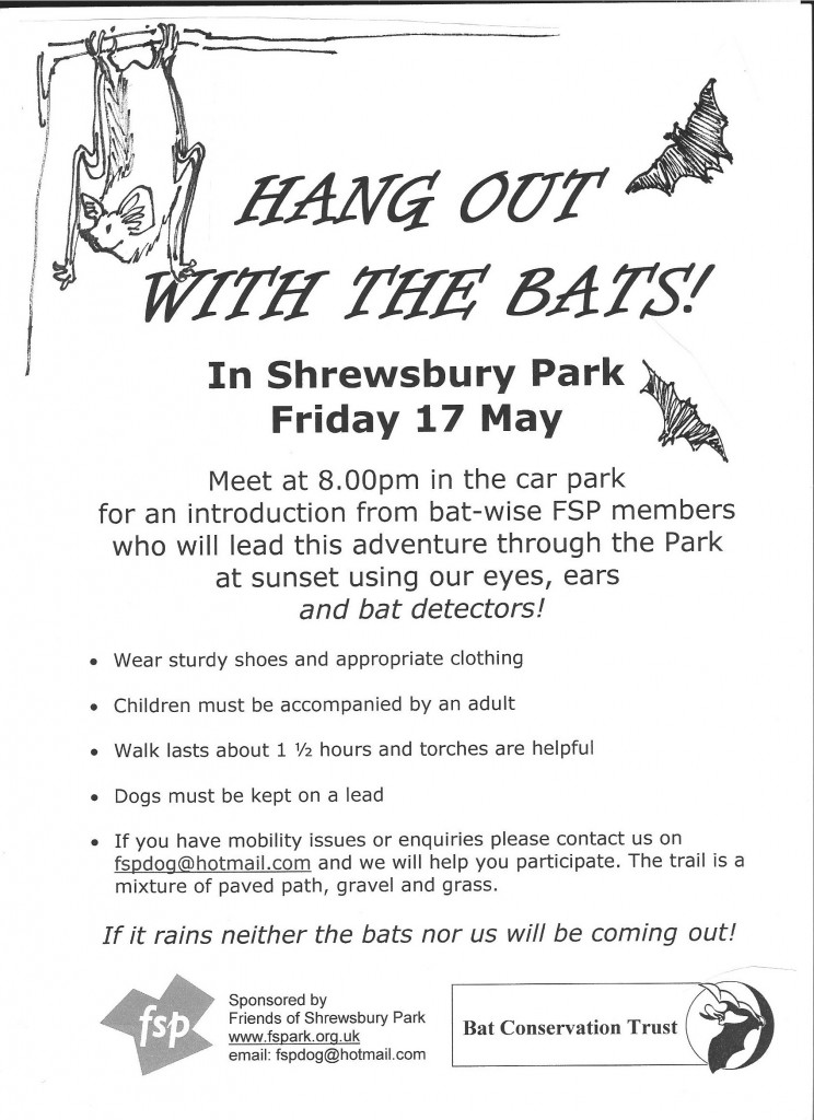 Shrewsbury Park Bat walk poster 2013