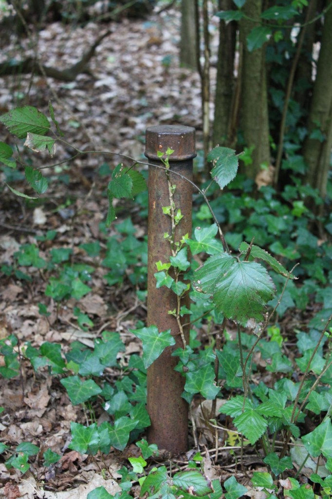 Borehole pipe on the proposed route of the East London River Crossing in the middle of Oxleas Wood