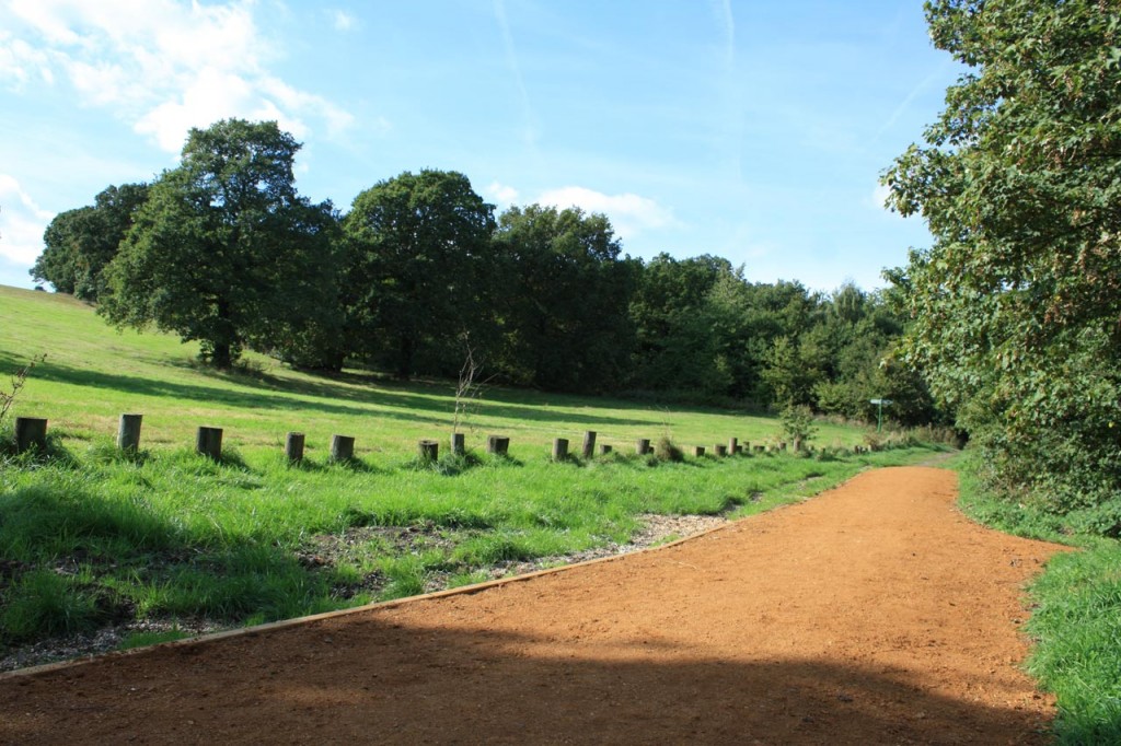 New path on Dot Hill, Shrewsbury Park