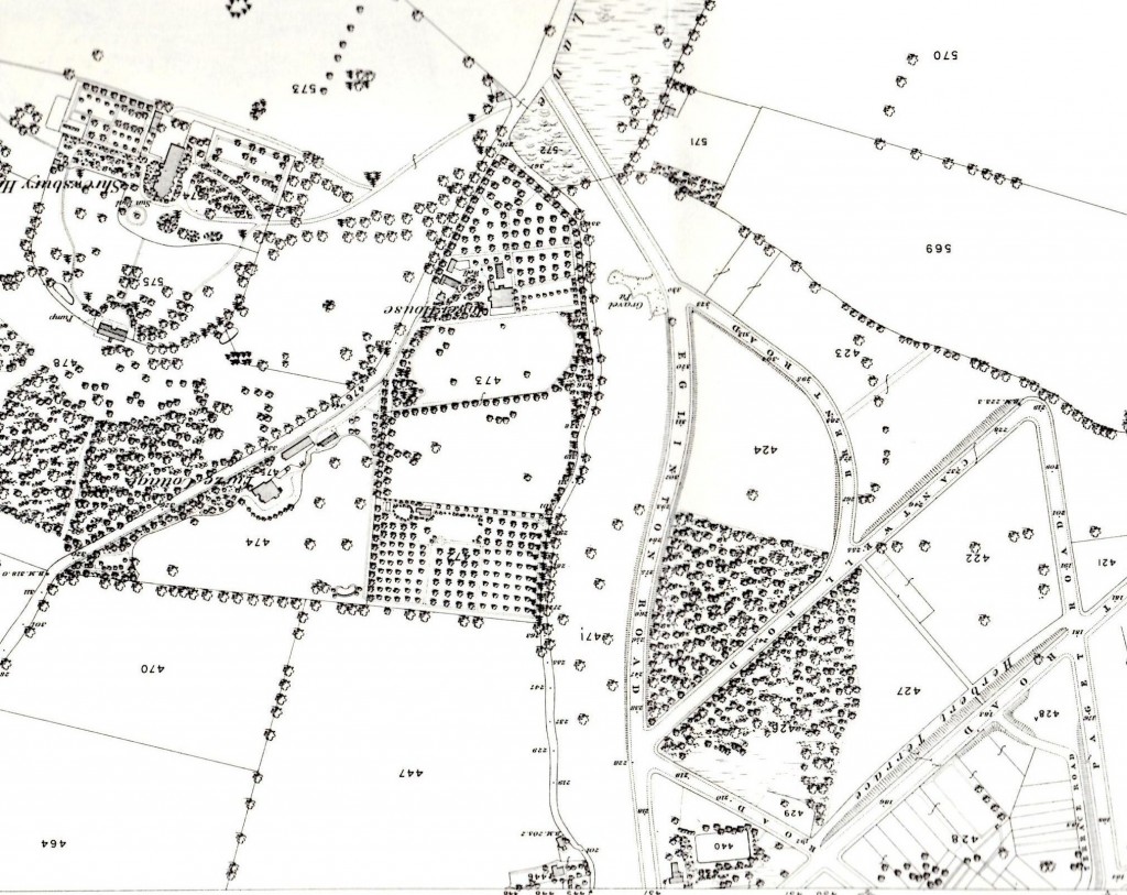 Snippet from 1866 OS Map rotated so South is at the top