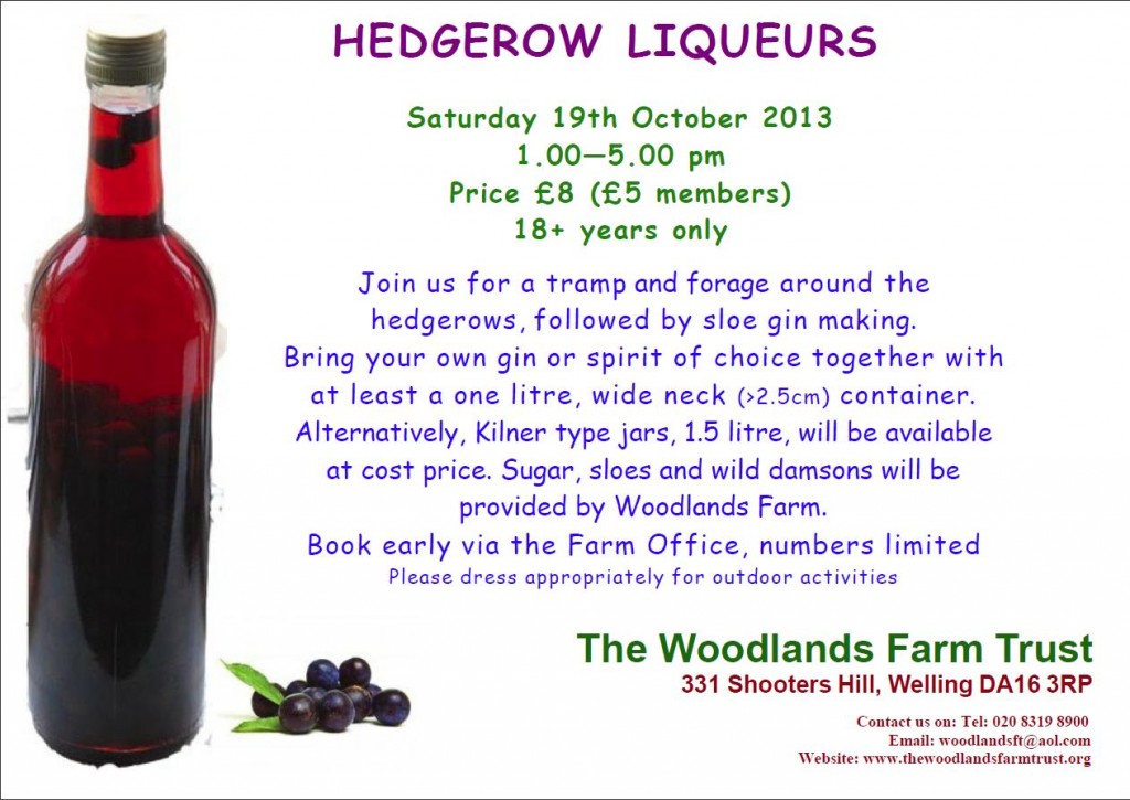 Hedgerow Liqueurs flyer