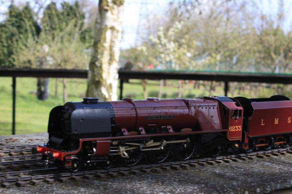 Welling and District Model Engineering Society public running
