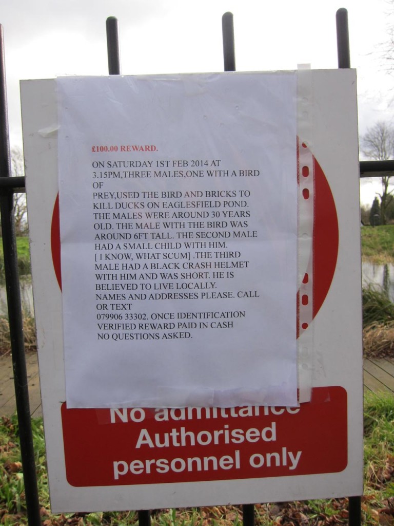 Poster about attack on ducks in Eaglesfield Park