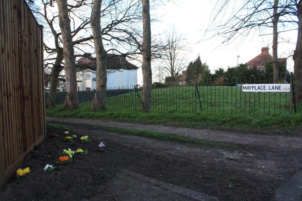 Nicola's new plants at the top of Mayplace Lane near the bronze age barrow on Plum Lane