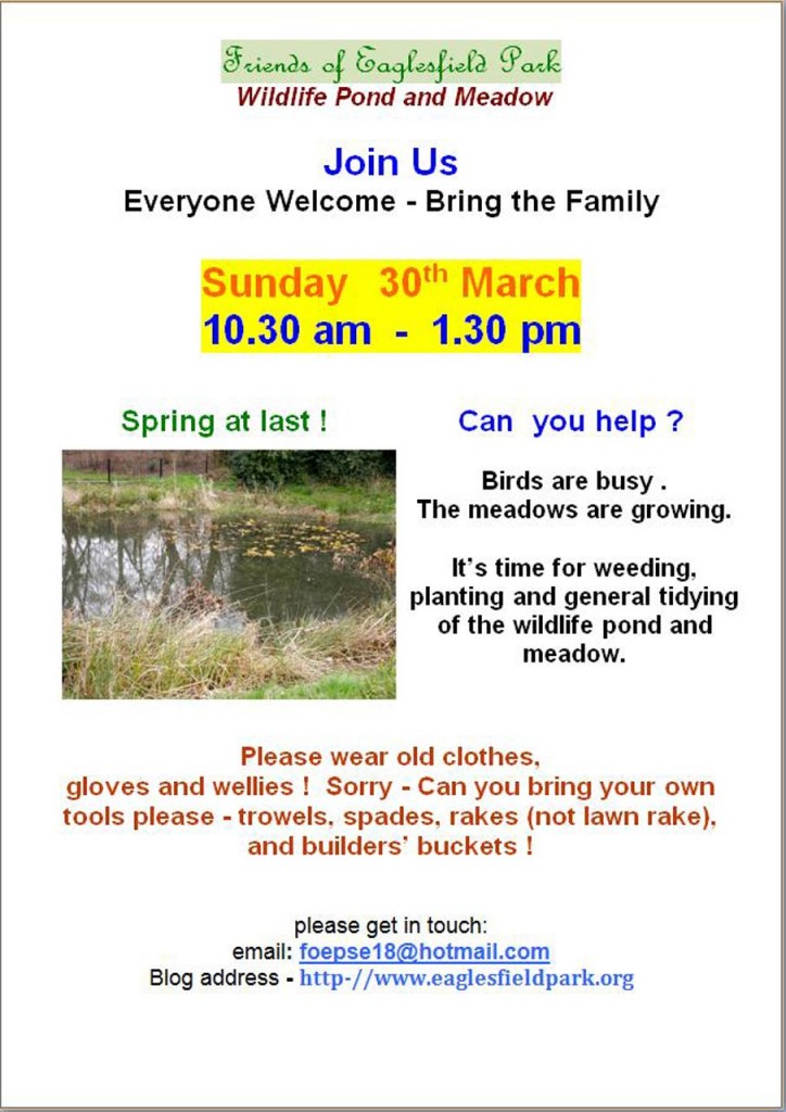 Eaglesfield Pond Tidy Poster