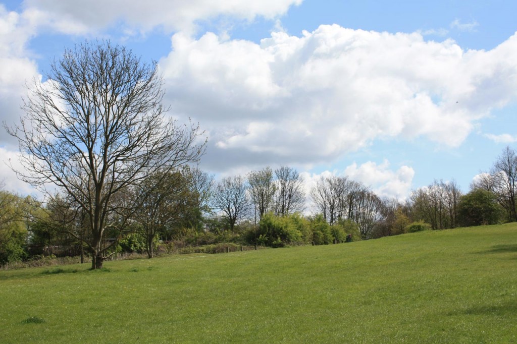 Shrewsbury Park near Rowton Road