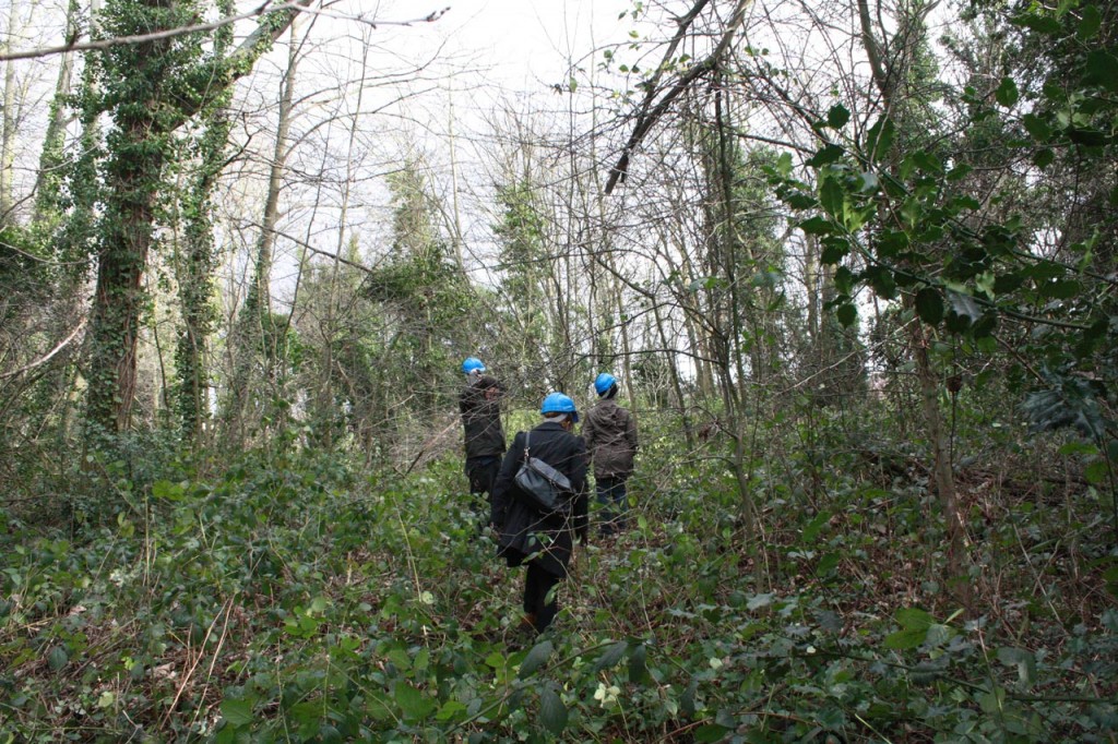 Guided tour of the woodland site in February