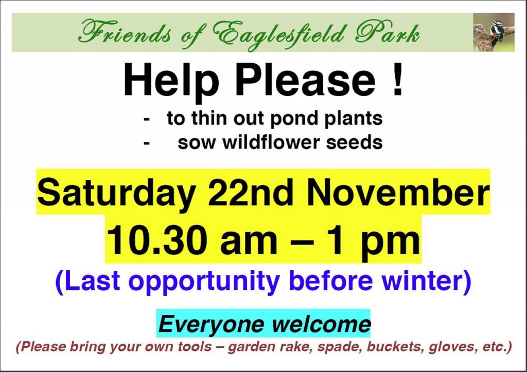 Friends of Eaglesfield Park poster