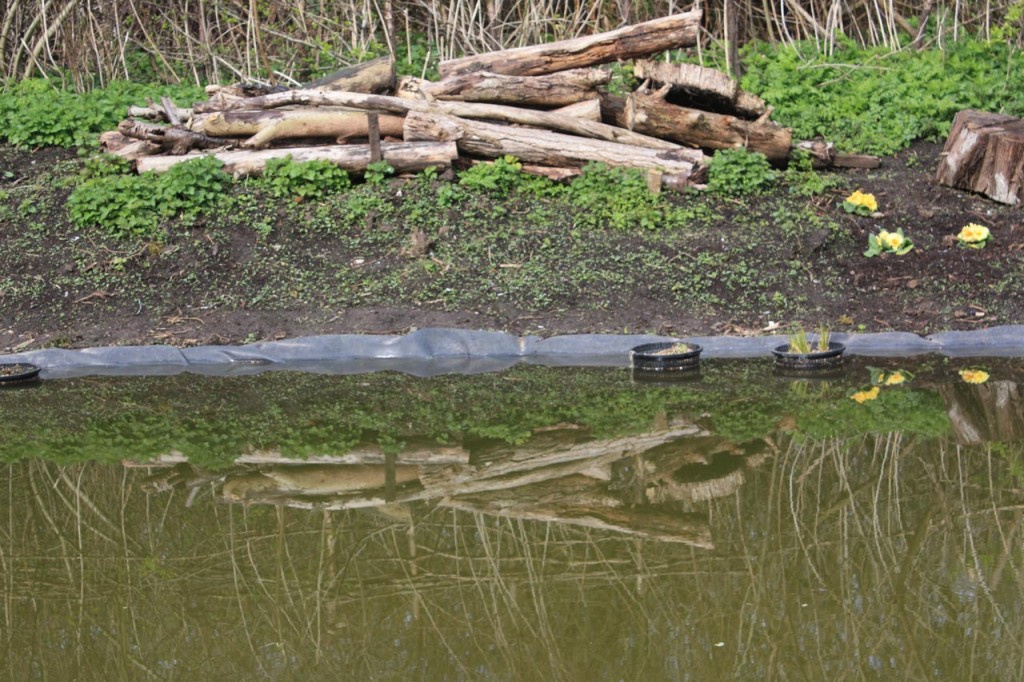 Woodlands Farm's new dipping pond