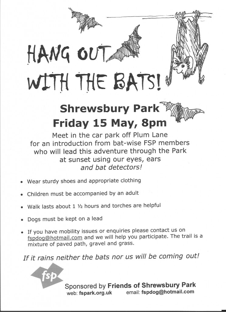 May 15 bat walk poster