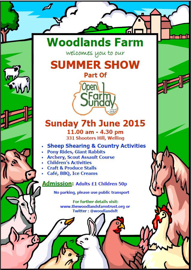 Summer Show 2015