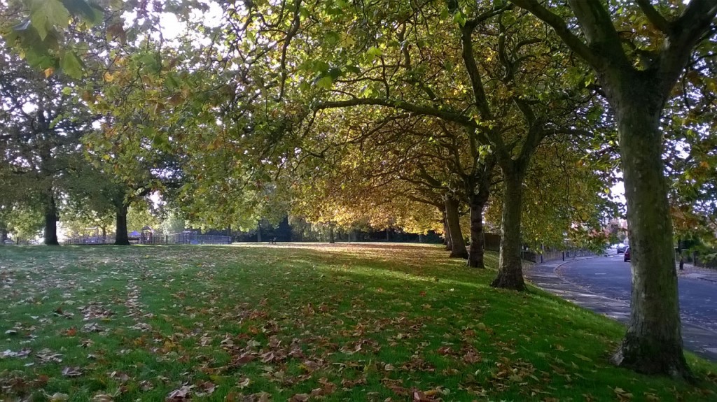 Autumnal Eaglesfield