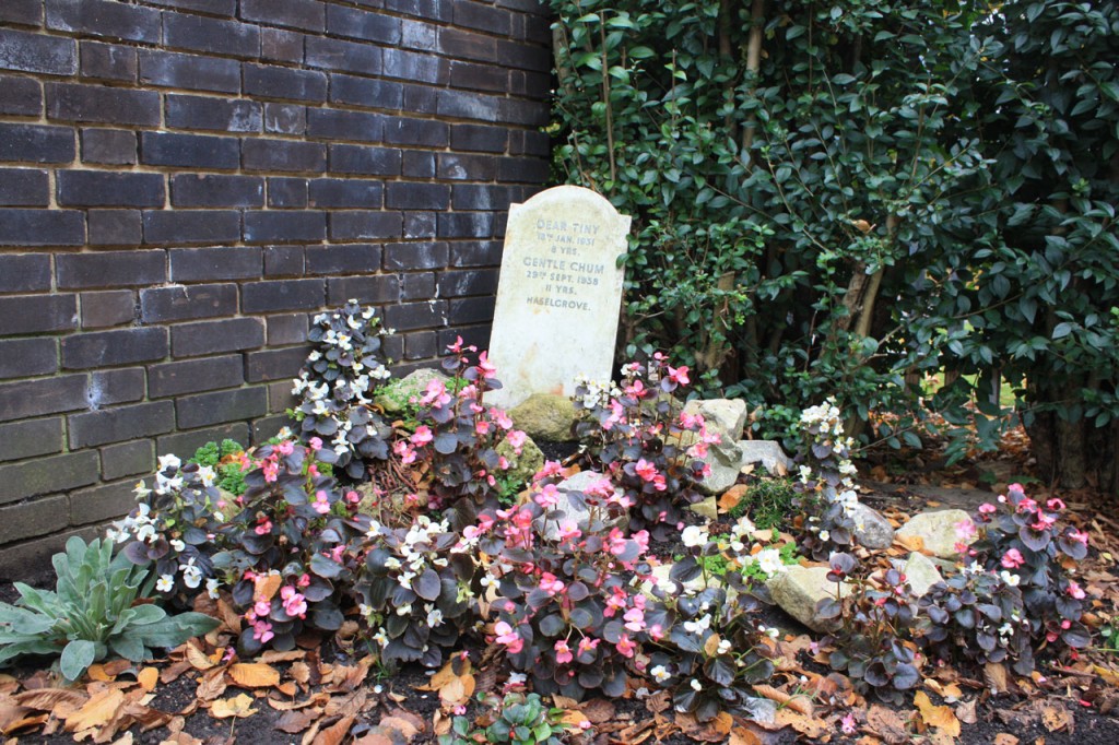 A gravestone at the Pet Cemetery