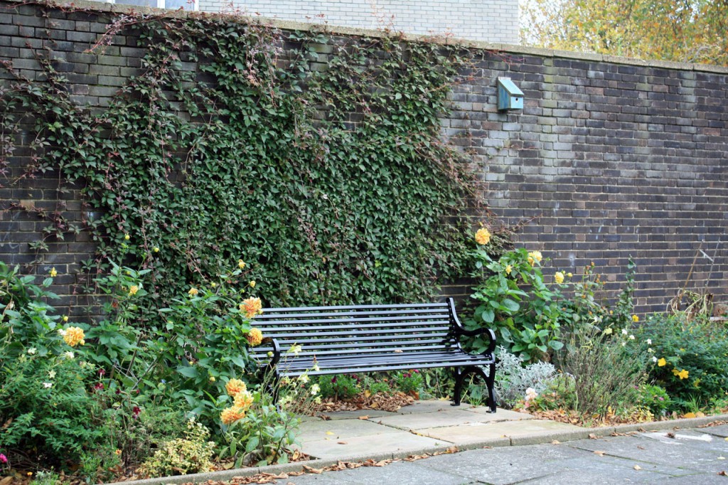 New bench in the Pet Cemetery garden