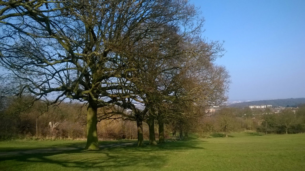 A Spring day in Shrewsbury Park