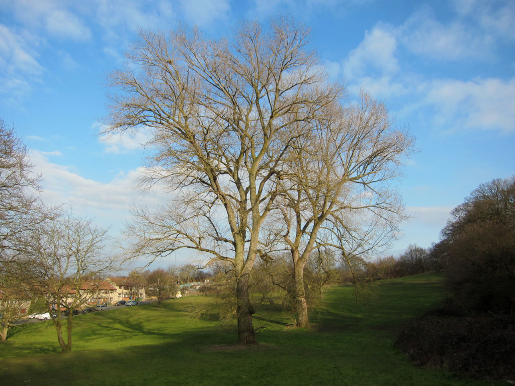 A Spring day in Shrewsbury Park