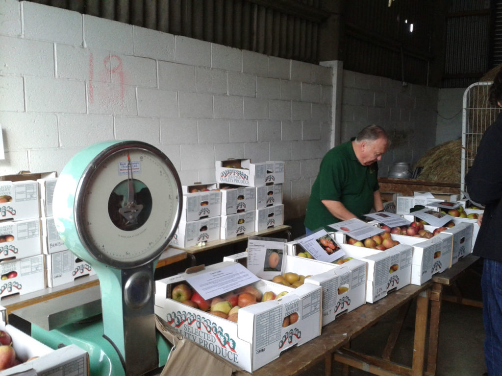 Apple Day at Woodlands Farm