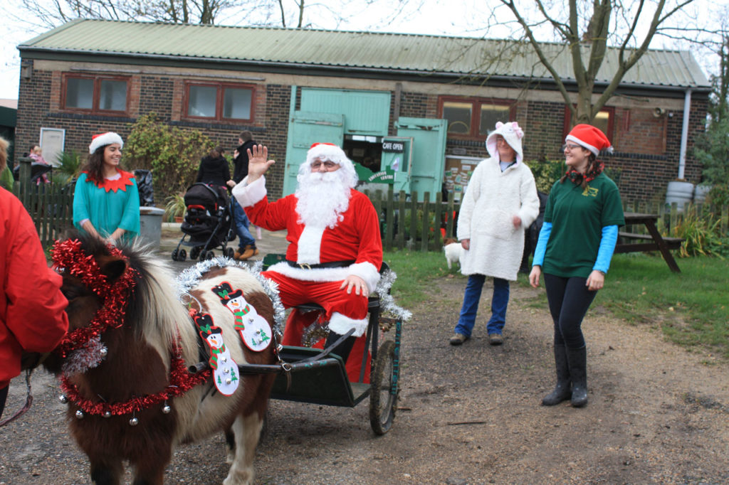 Father Christmas arriving at Woodlands Farm drawn by Bob the pony