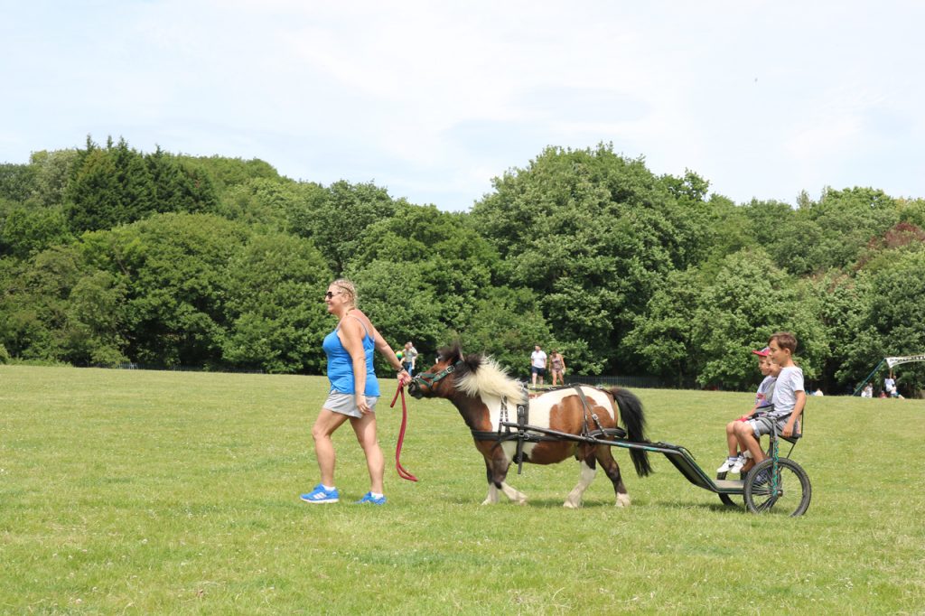 Bob the pony cart rides at Woodlands Farm Summer Show