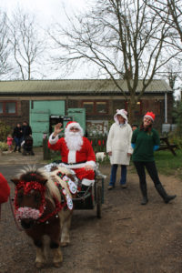 Father Christmas arrives at Woodlands Farm