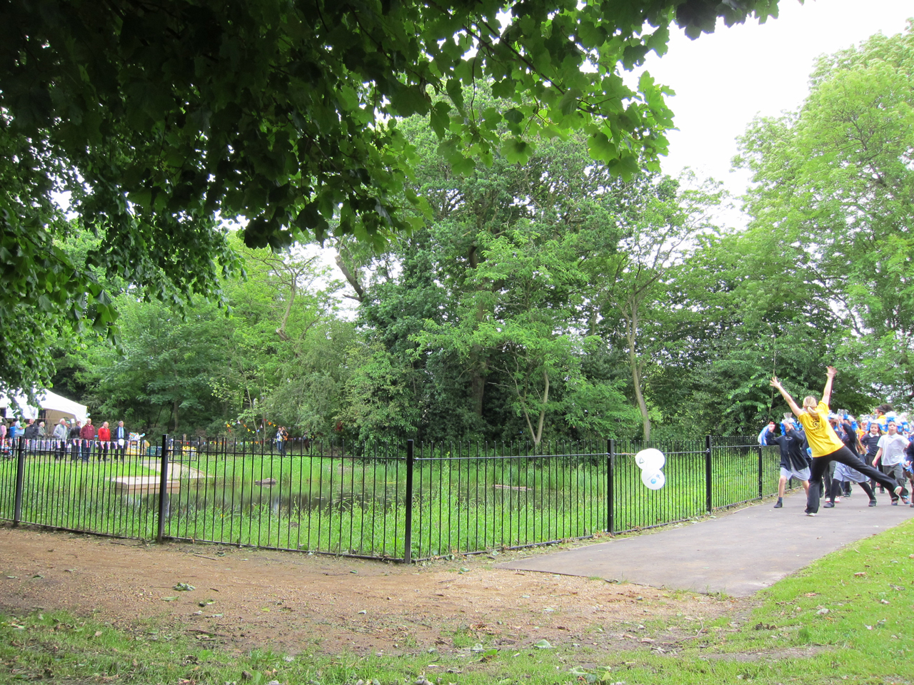 Eaglesfield-Park-Lilly-Pond-15th-June-2012-a