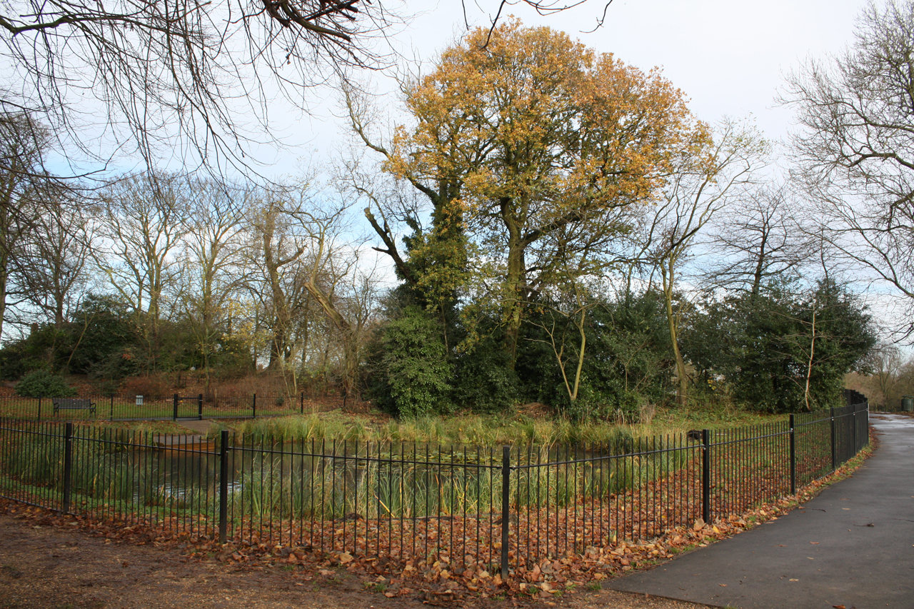 Eaglesfield-Park-Lilly-Pond-November-2012