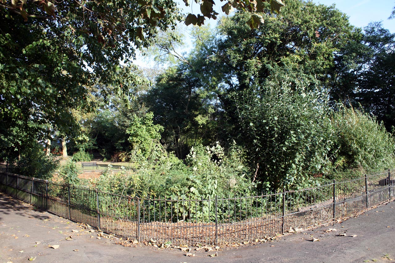 Eaglesfield Park Lilly Pond October 2011