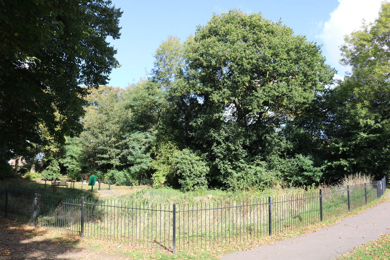 Eaglesfield Park Lilly Pond October 2018