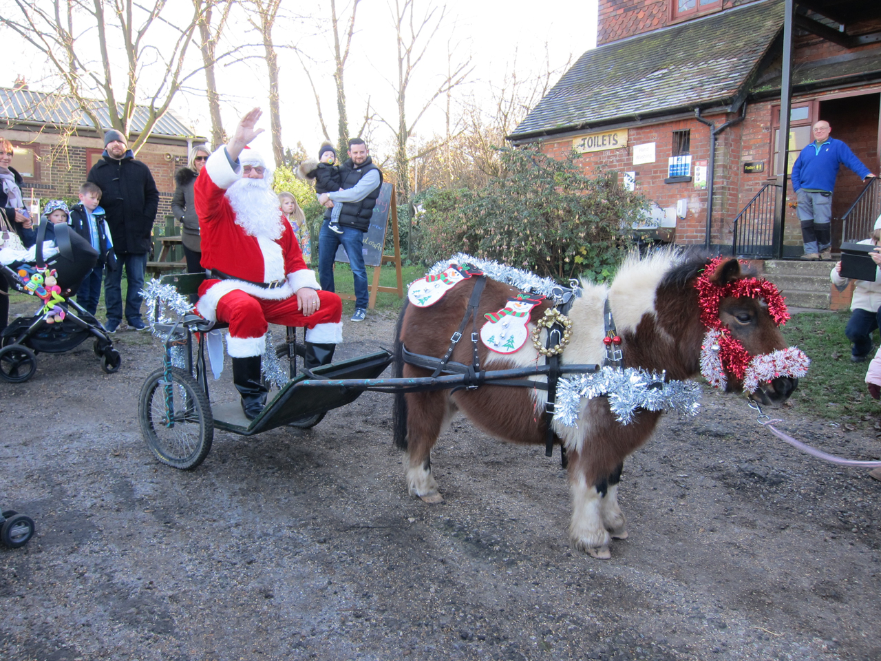 Bob the pony pulls Father Christmas to his grotto at Woodlands Farm